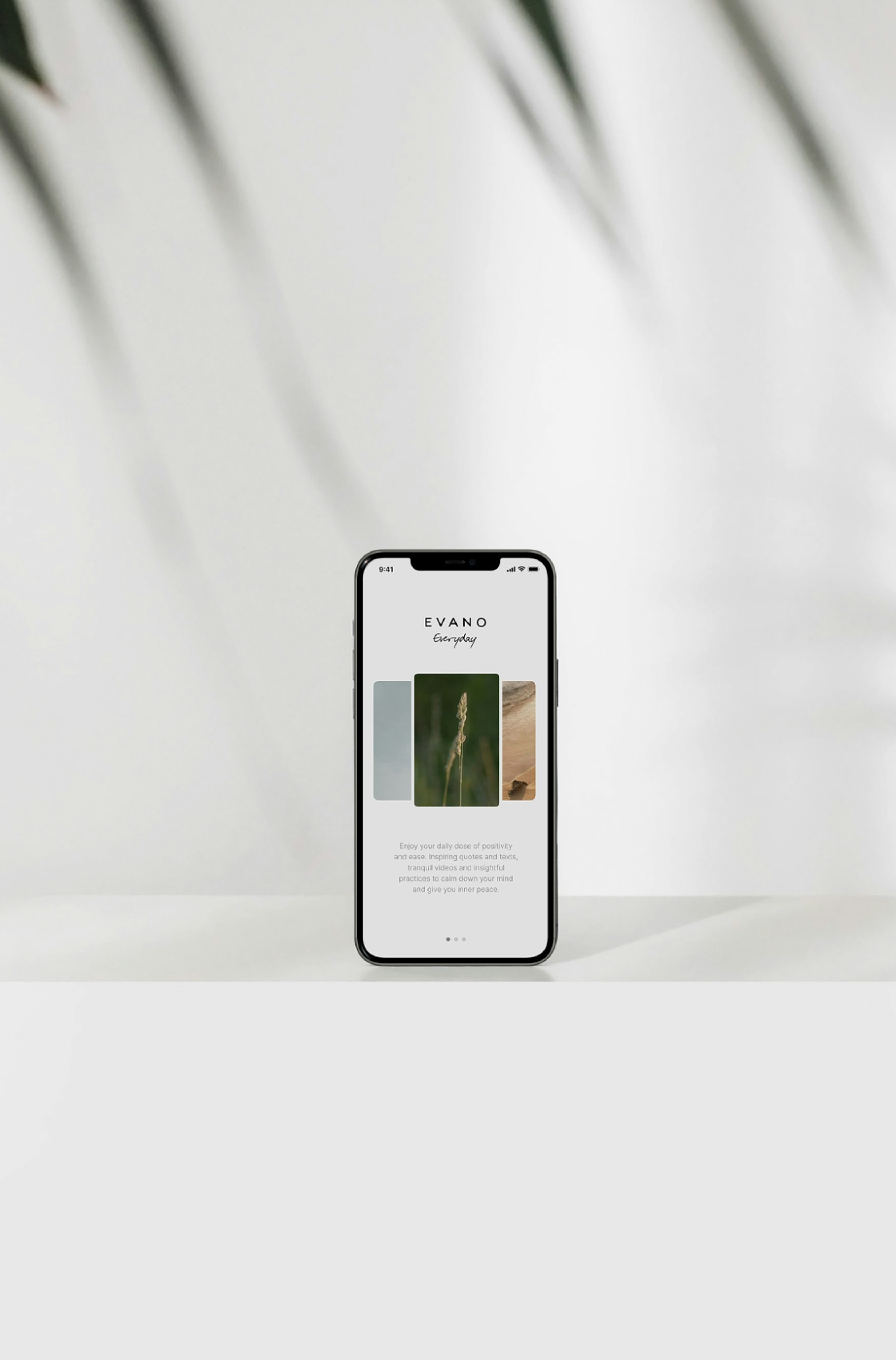 UI/UX design